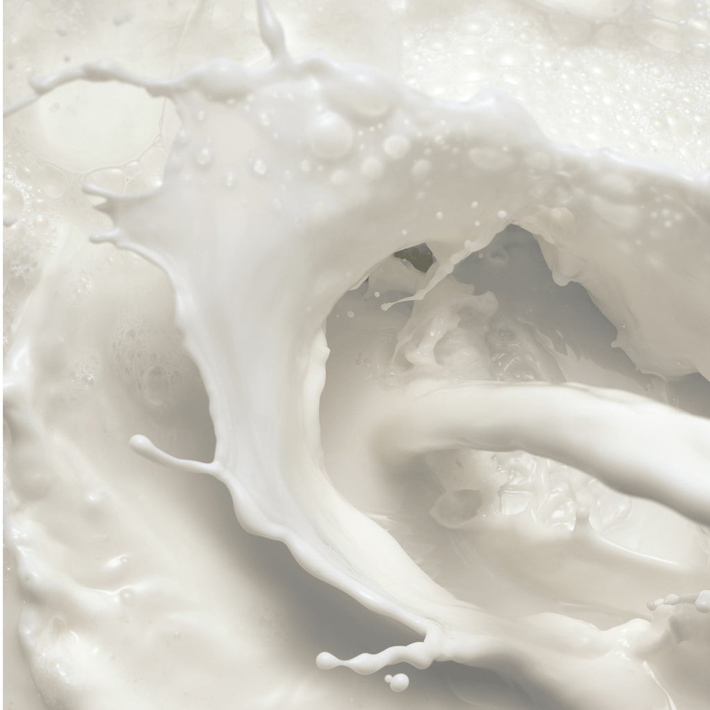 Milk and Honey smoothing sugar scrub